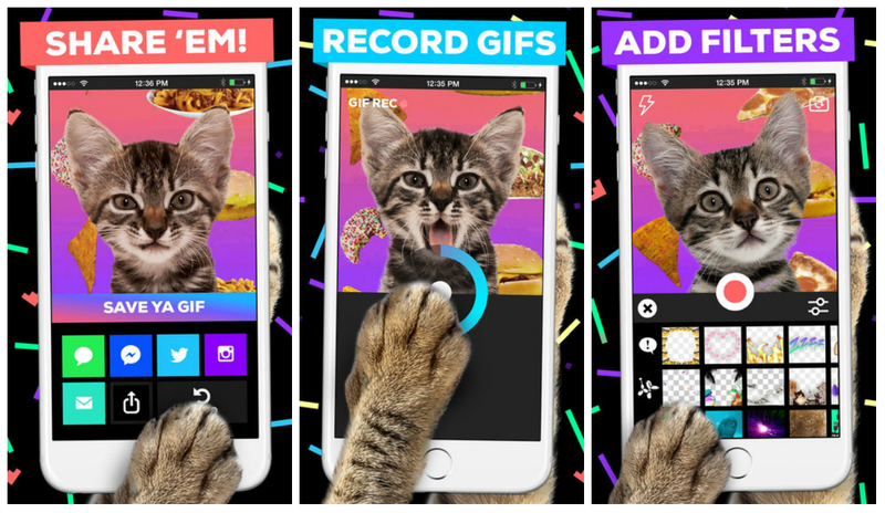 Illustration for article titled Our Favorite Android, iOS, and Windows Phone Apps of the Week